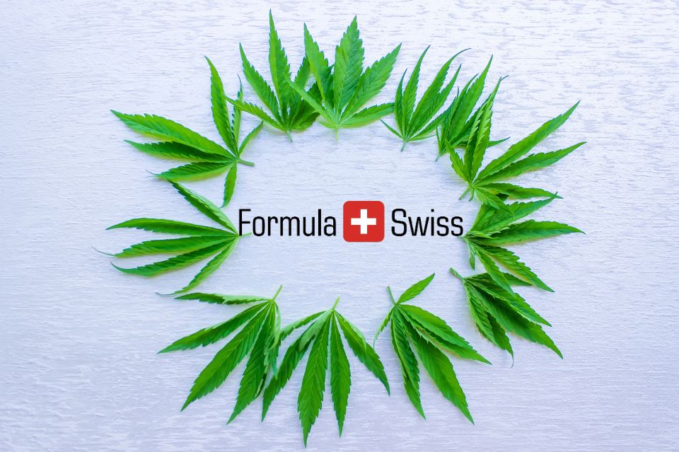 Cbd og cannabisprodukter: Hvordan har formula swiss skabt succes på markedet?