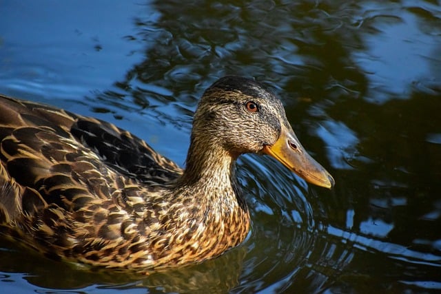 Ordassociation: Nøglen til at løse kryptiske krydsord